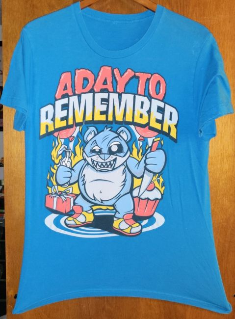 The Ultimate A Day To Remember Merchandise Review: What to Buy